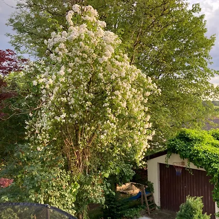 Bei Uns Im Allgaeu Bad Wurzach Exterior photo